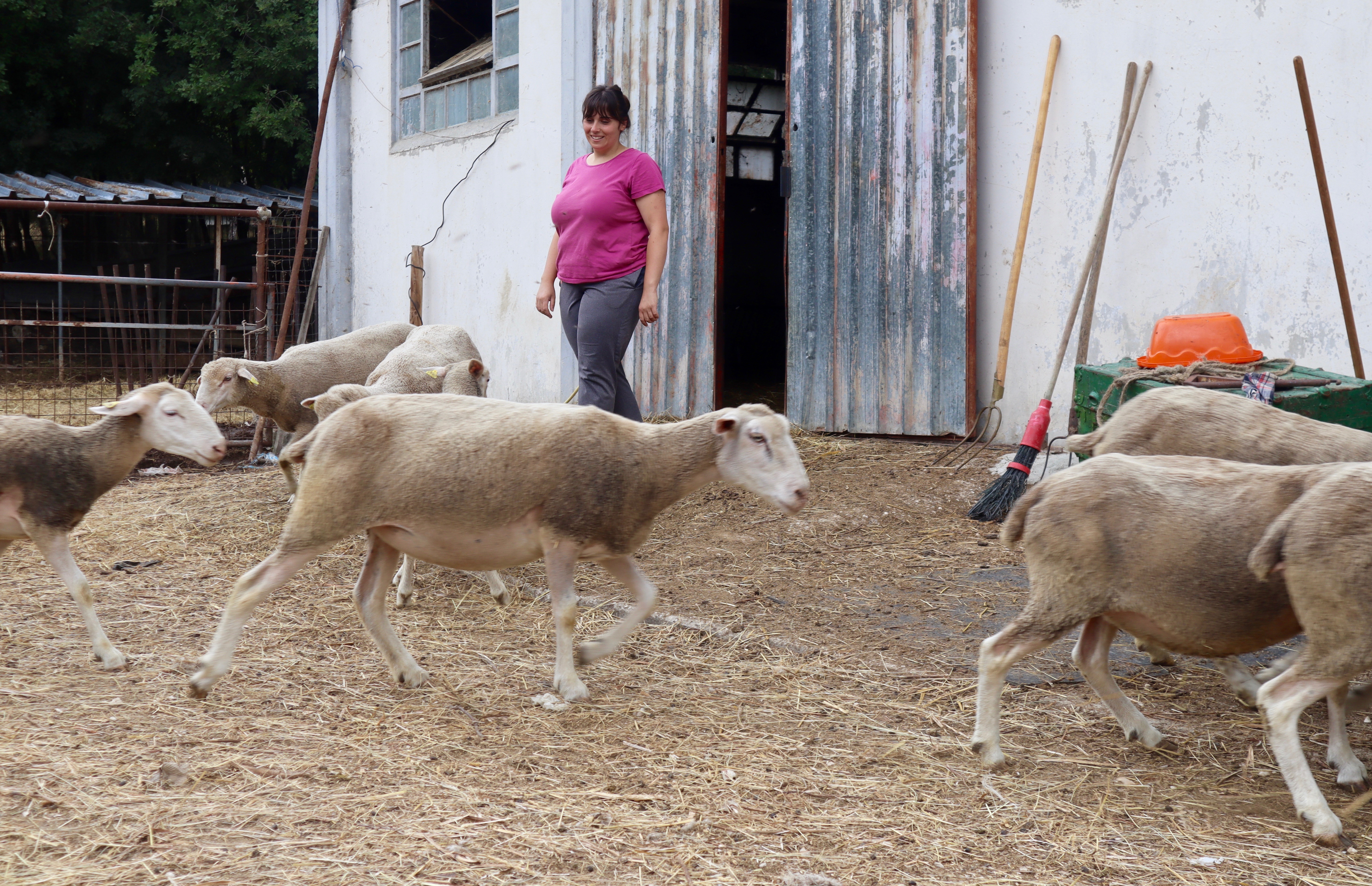 1707_Jessica (1).jpg woman herds her goats