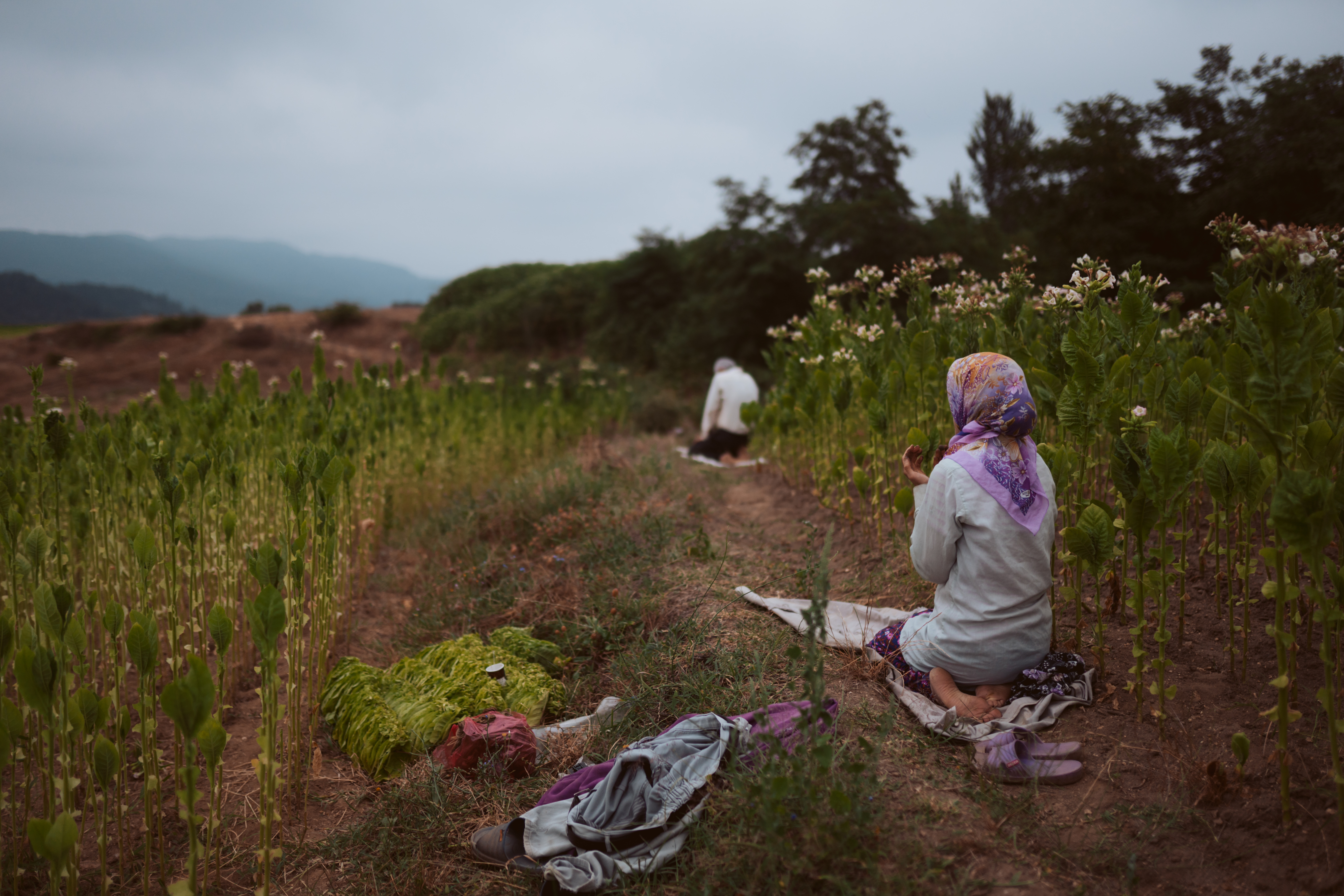 3 Fajr.jpg Girl and father perform sunrise prayer in a Bulgarian field