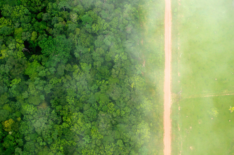 A birds eye view of the stark contrast between the forest and agricultural landscapes near Rio Branco, Acre, Brazil. Image by Kate Evans/CIFOR. A birds eye view of the stark contrast between the forest and agricultural landscapes near Rio Branco, Acre, Brazil. Image by Kate Evans/CIFOR.