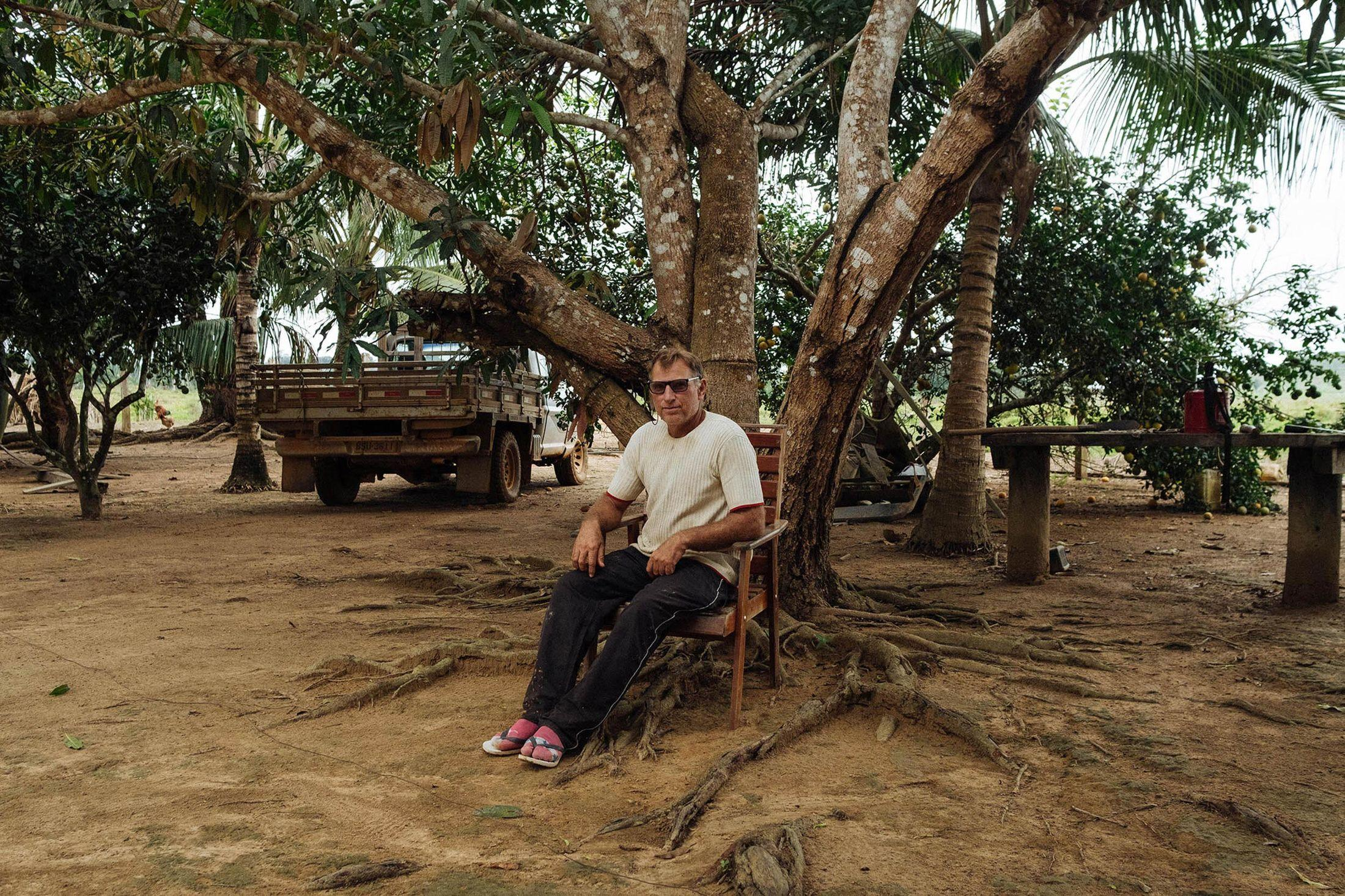 man sits in a chair in front of large tree