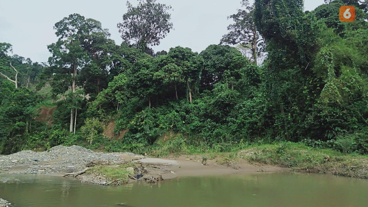 Puddles left behind from illegal gold mining activity around the Guguk Customary Forest area, Guguk Village, Merangin Regency, Jambi. Image by Gresi Plasmanto / Liputan6.com. Indonesia, 2021.