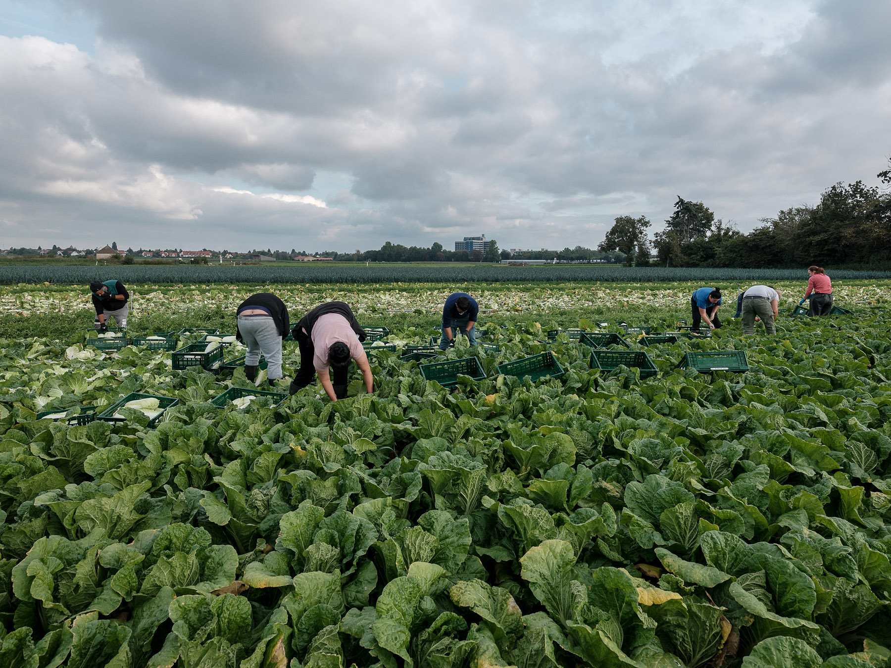 Migrating or Commuting? The Case of Romanian Workers in Italy