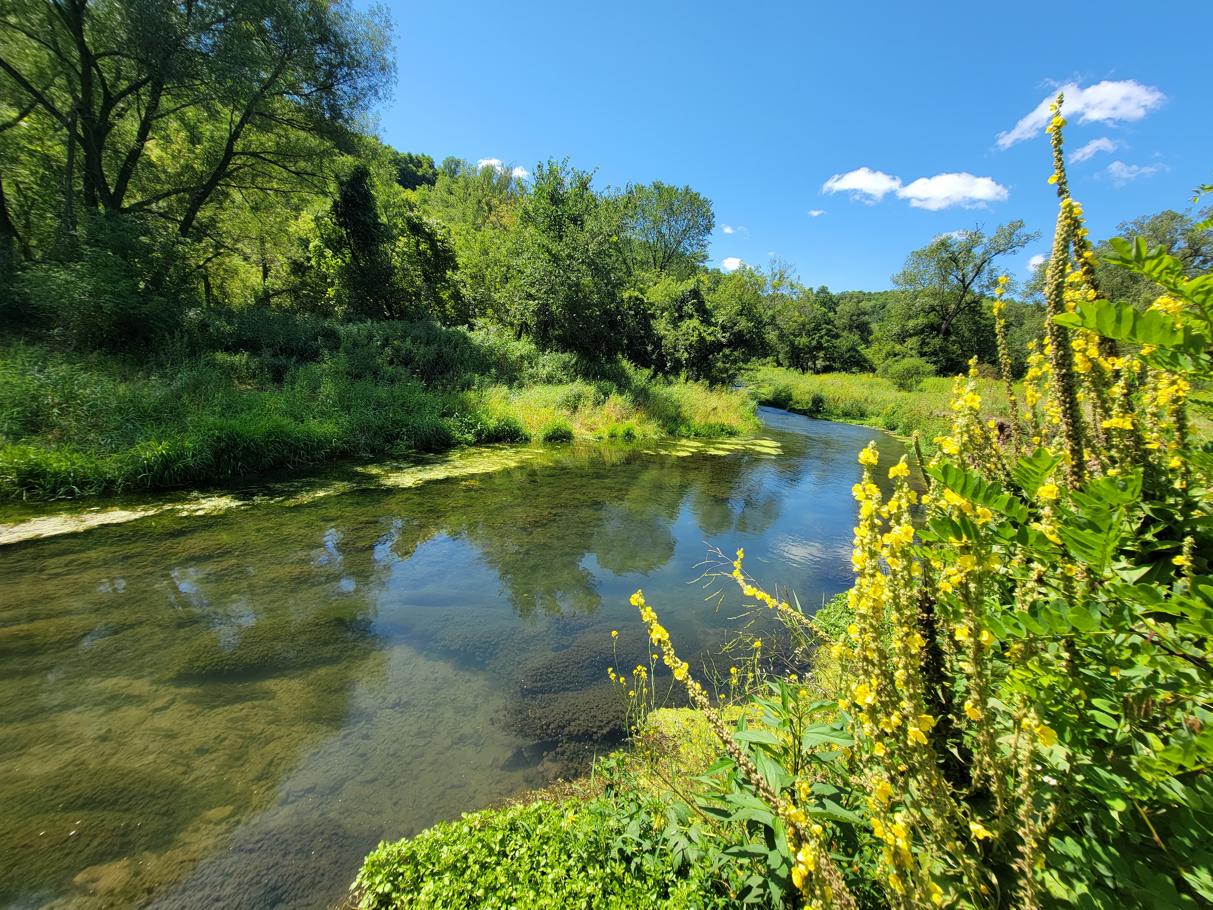 Bloody Run Creek in Iowa