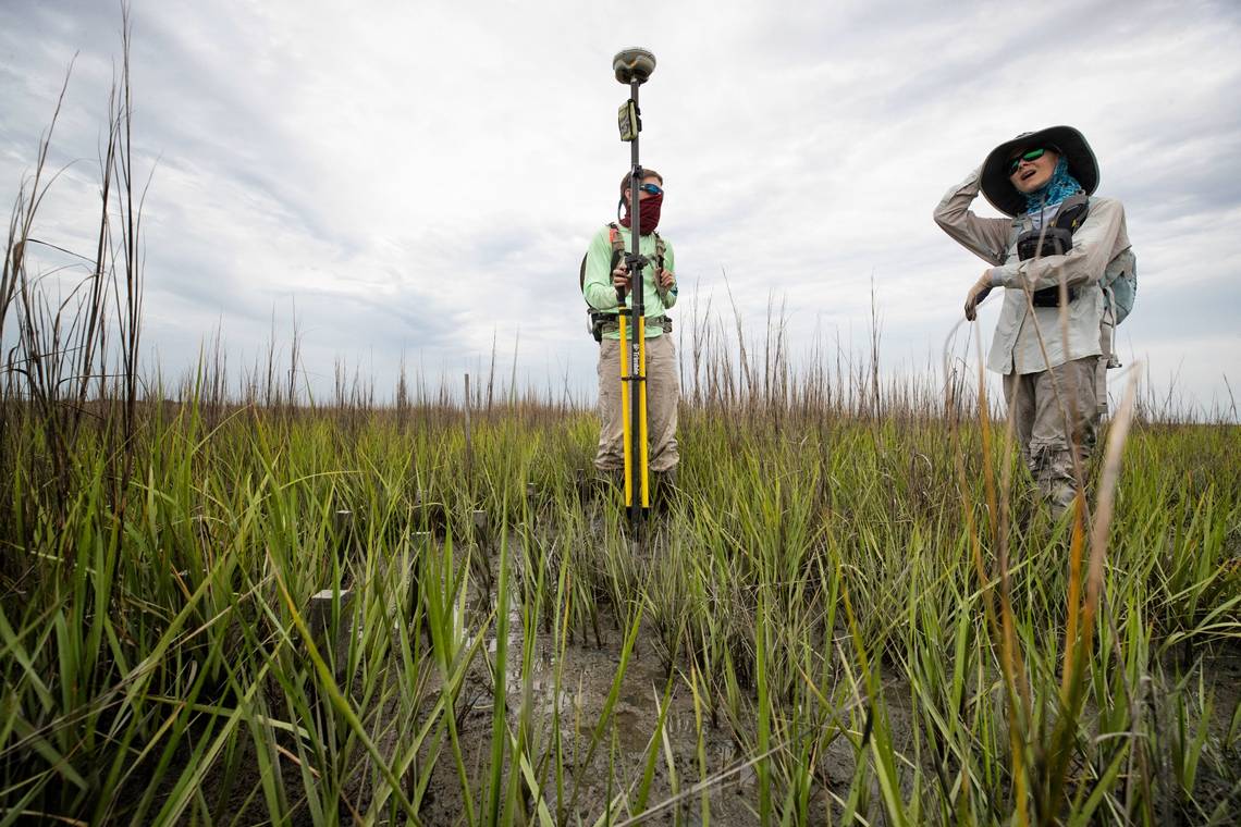 Commercial fishing in NC adapts to threat of warming seas