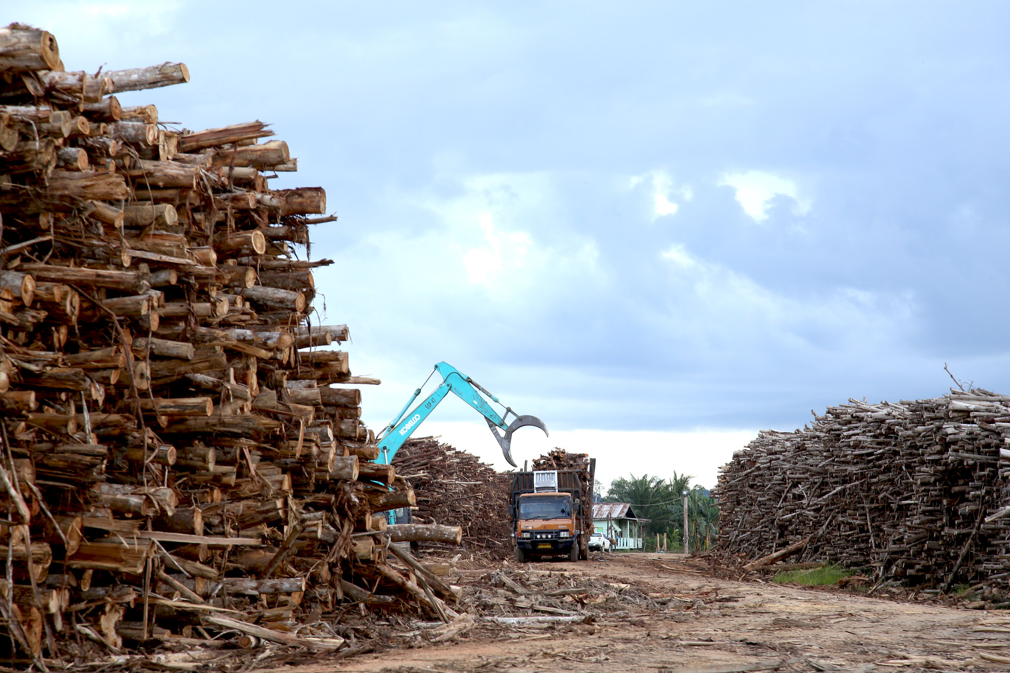 3.3.Concesión Adindo_troncos.jpg A crane picks up logs from a truck amidst big piles of logs.