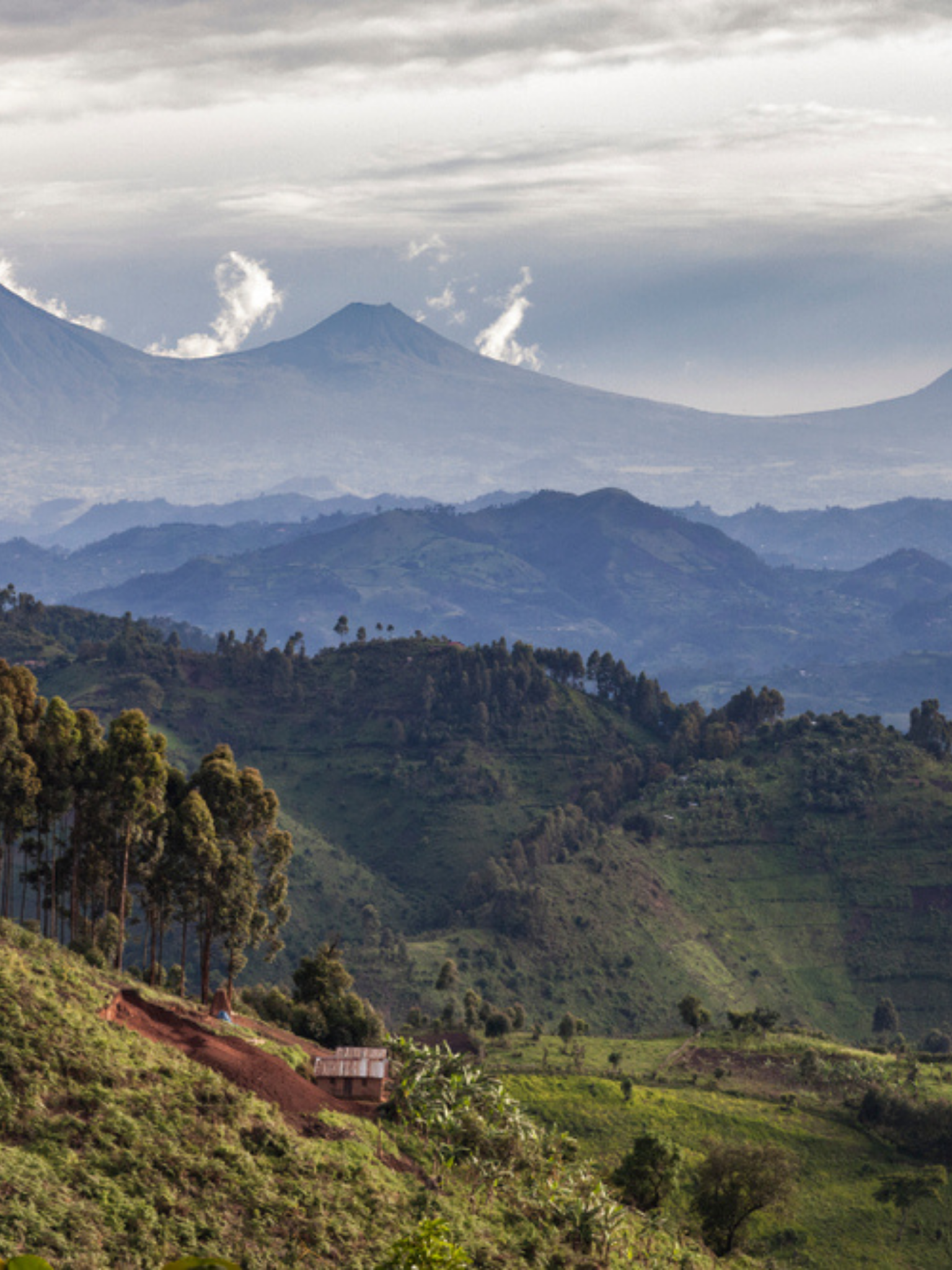NEW S. Copy of Vertical thumbnail template 34 (1536 × 2048px) template (4)_5.png An aerial shot of a tropical mountain range in the Congo Basin.