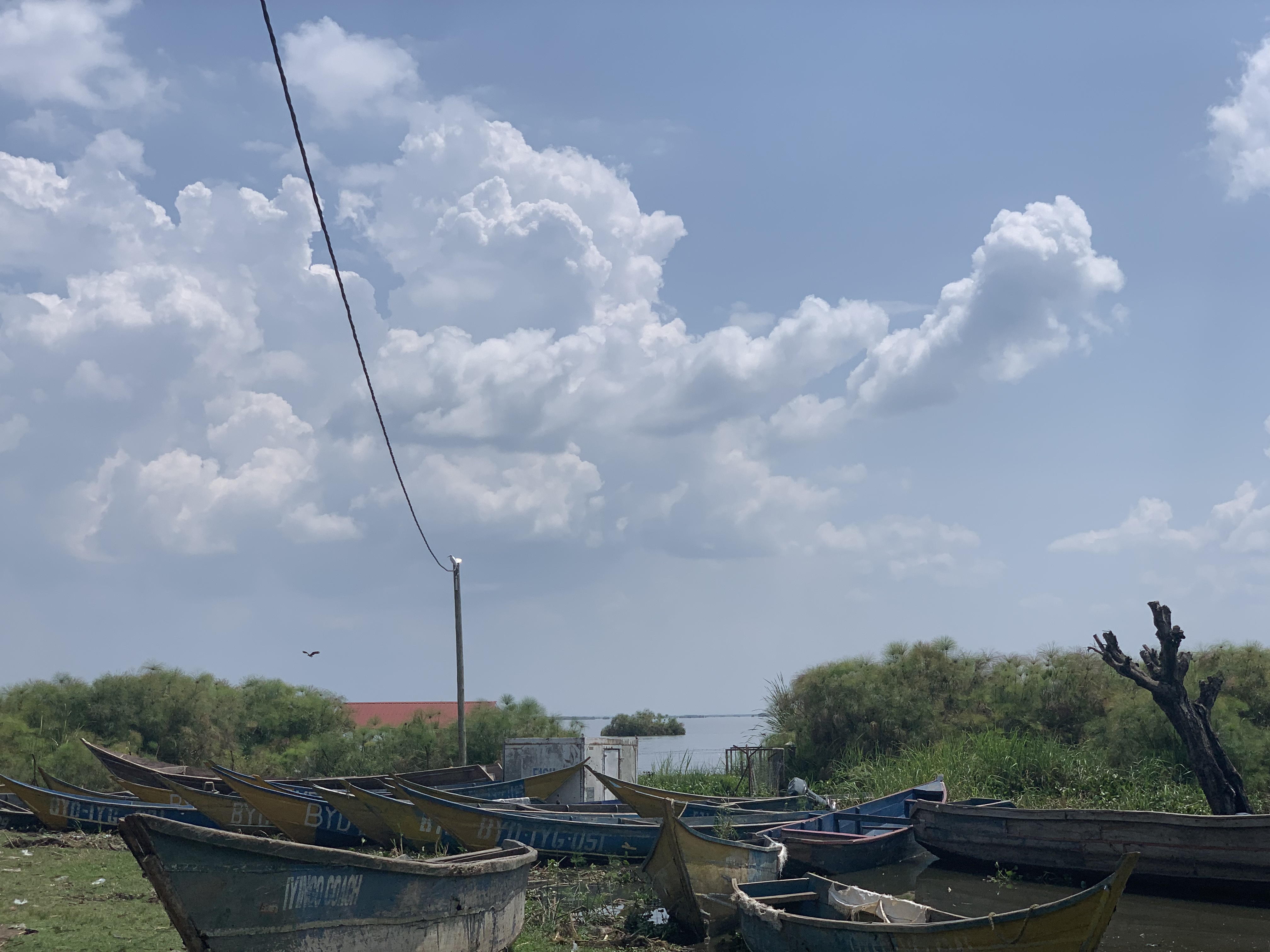 Project_Horizontal_Paithankar.jpeg canoes docked