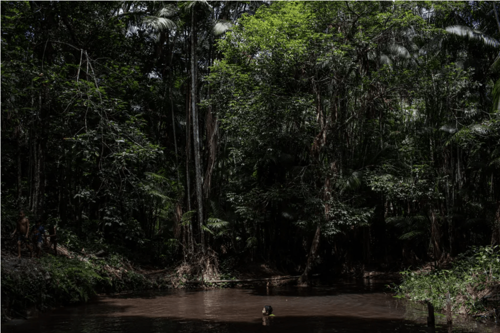 Photo of young boy swimming