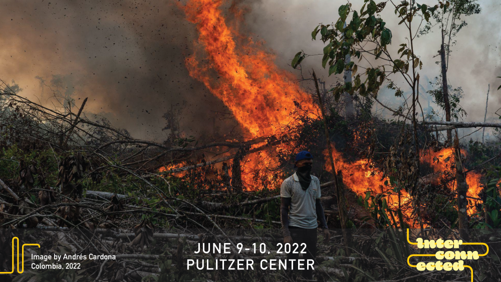 andres cardona-12.png Colombian forest is burned while a farmer stands by. Image by Andrés Cardona. Colombia, 2022.