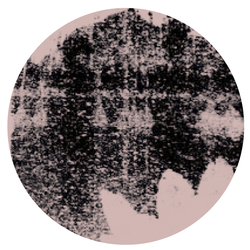 1619 User Icon