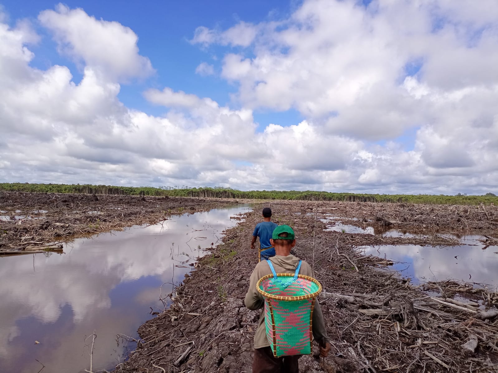 people walk through fields