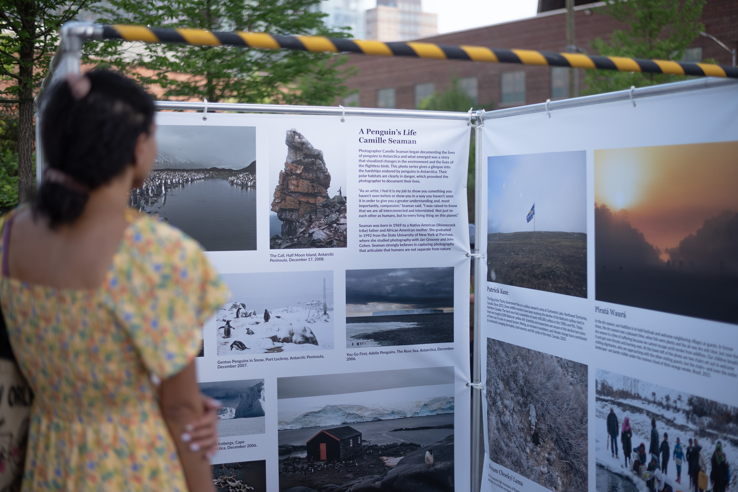 Woman looks at exhibit