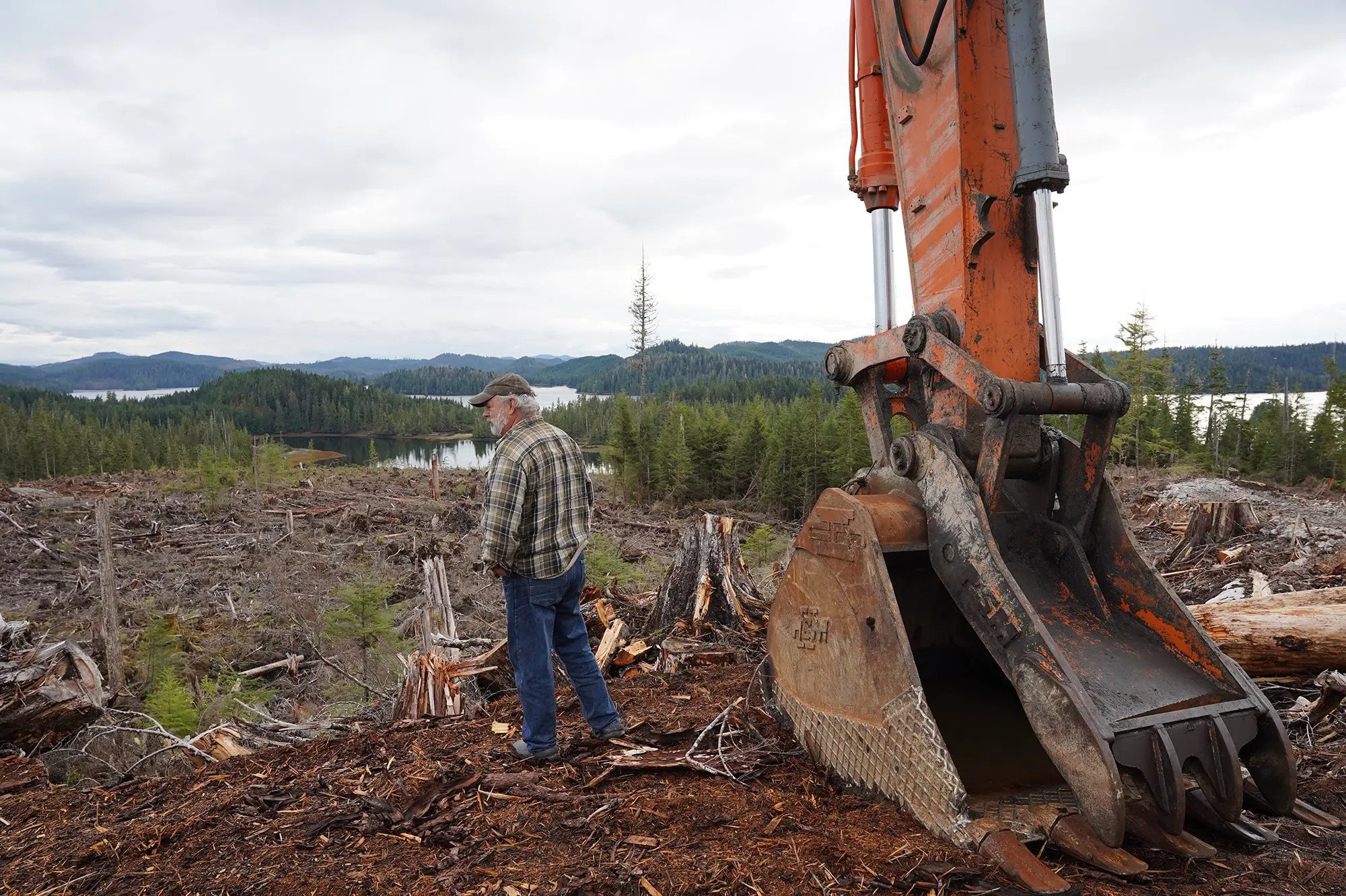 A man walks next to the arm of heavy machinery. He stands in a deforested area.