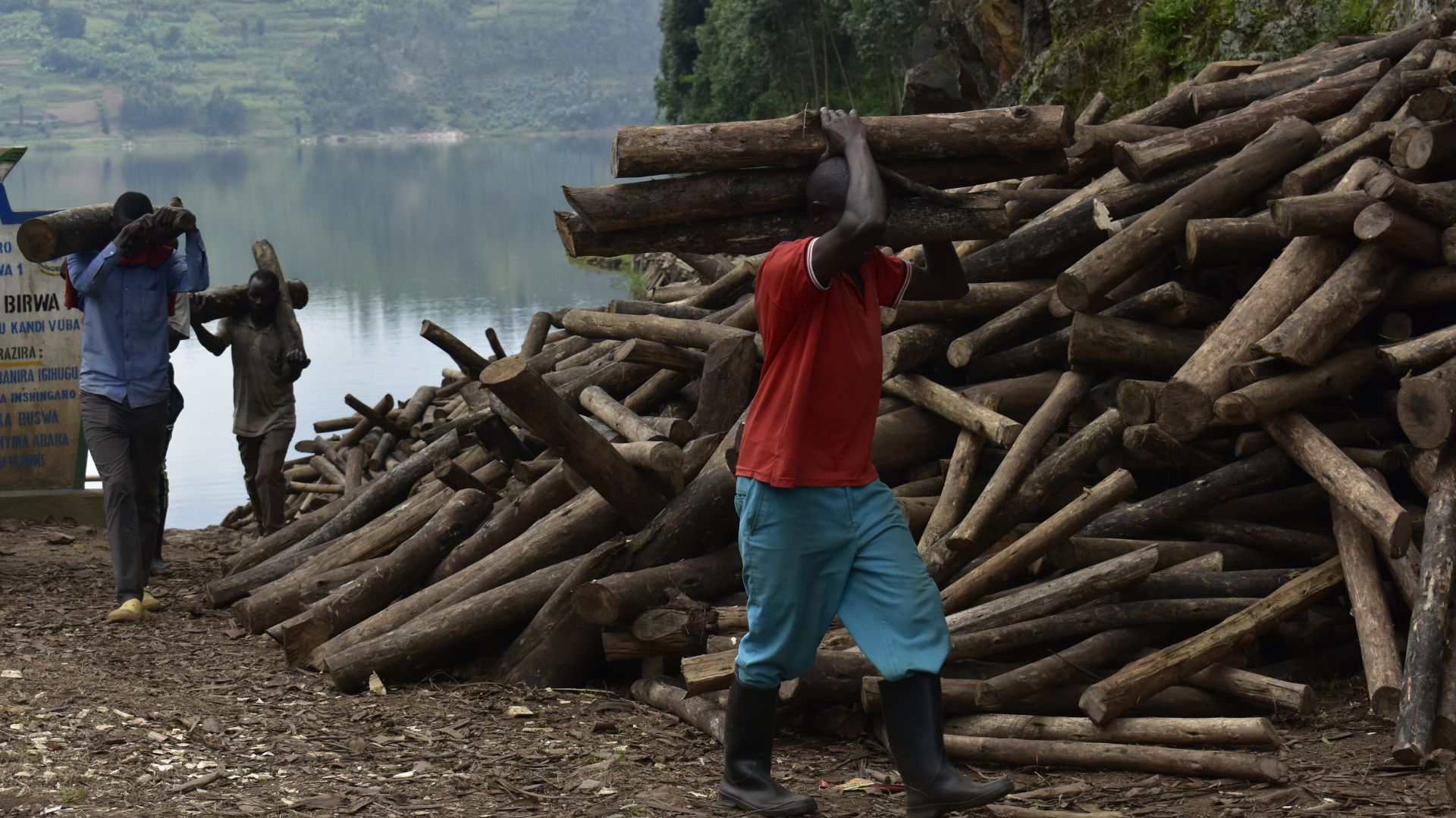 a man carries wood