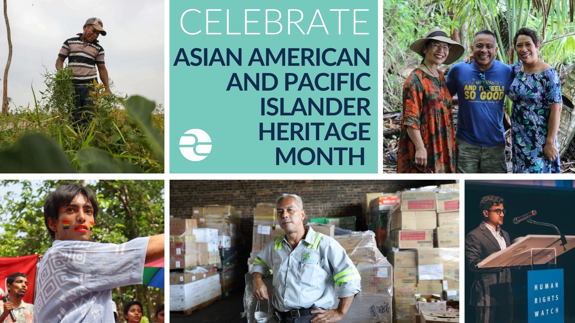 AAPI graphic.jpg AAPI graphic