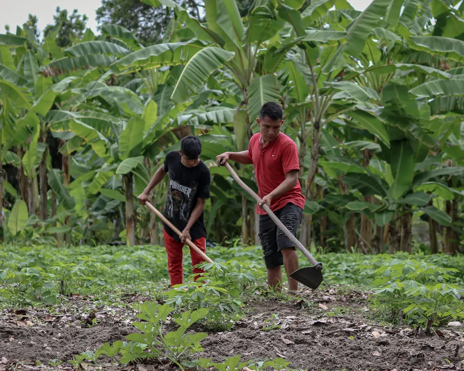 Two young men use hoes to till a plot of land.