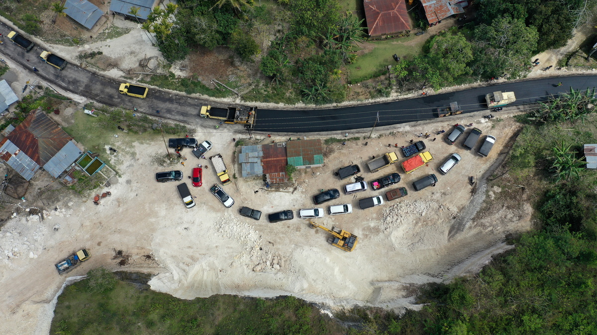 cars and trucks in a rainforest