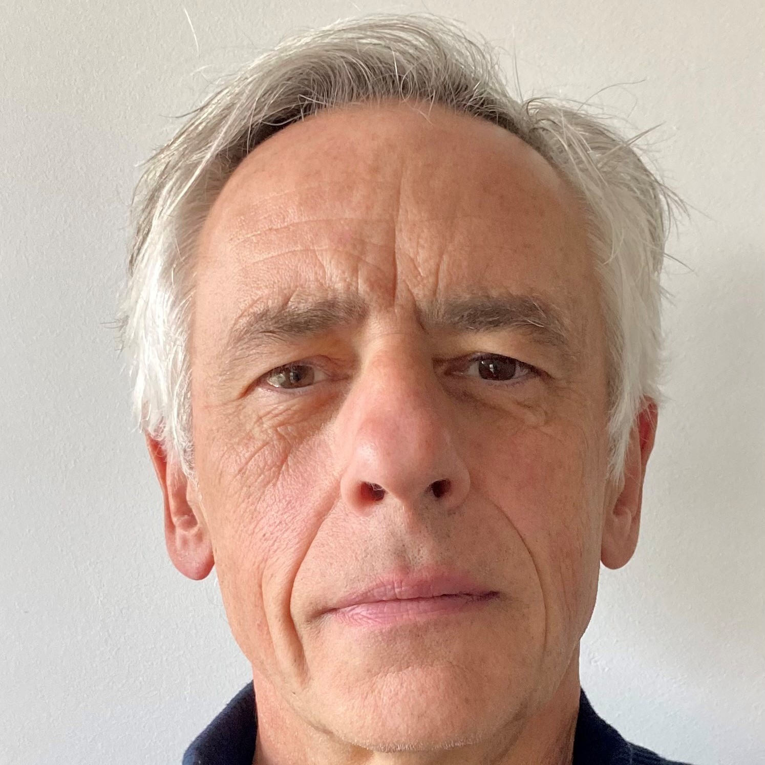 Raf Casert headshot