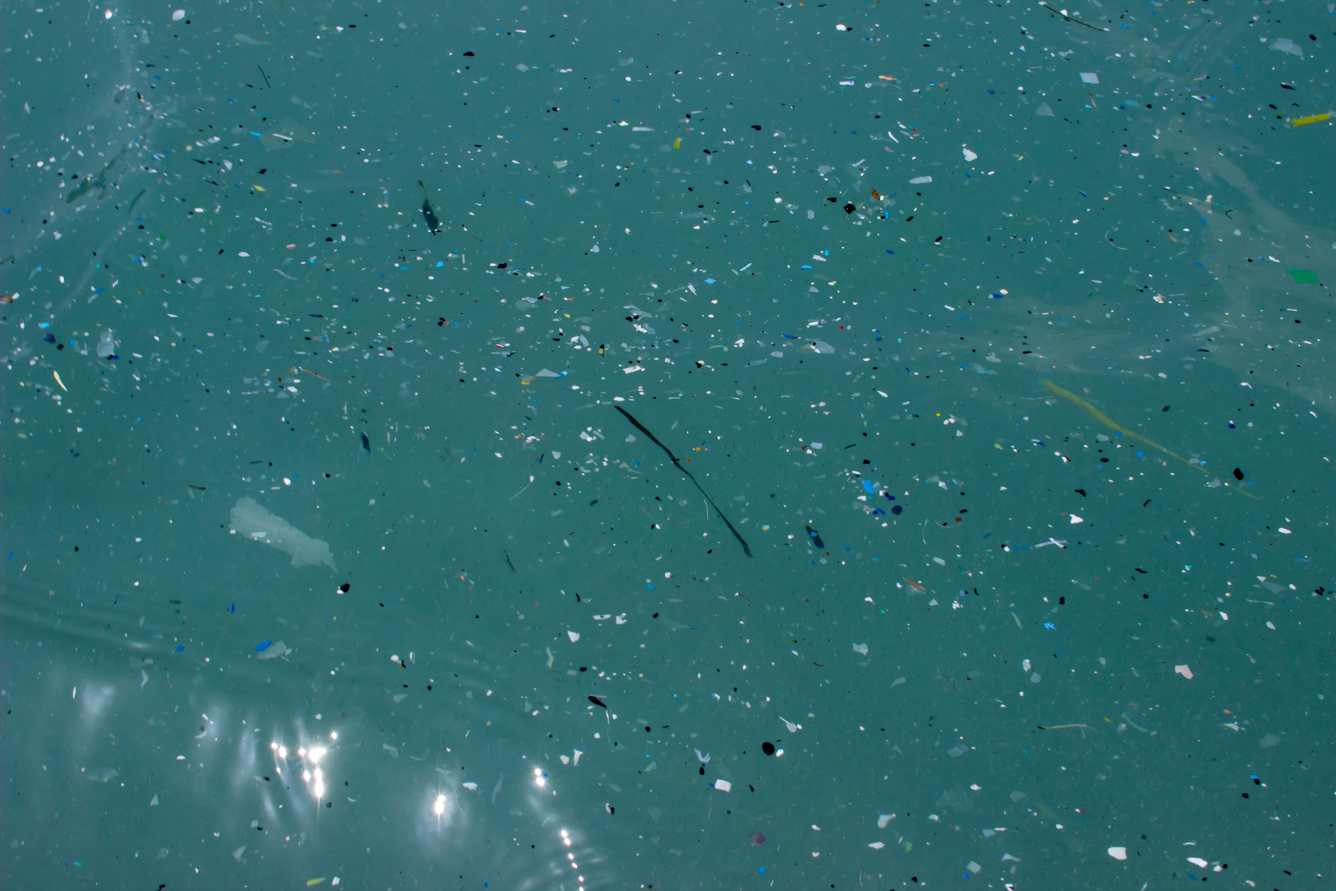 Частицы океана. Микропластик в океане. Микропластик фитопланктона. Микро пластик в океане. Микропластик в воде.