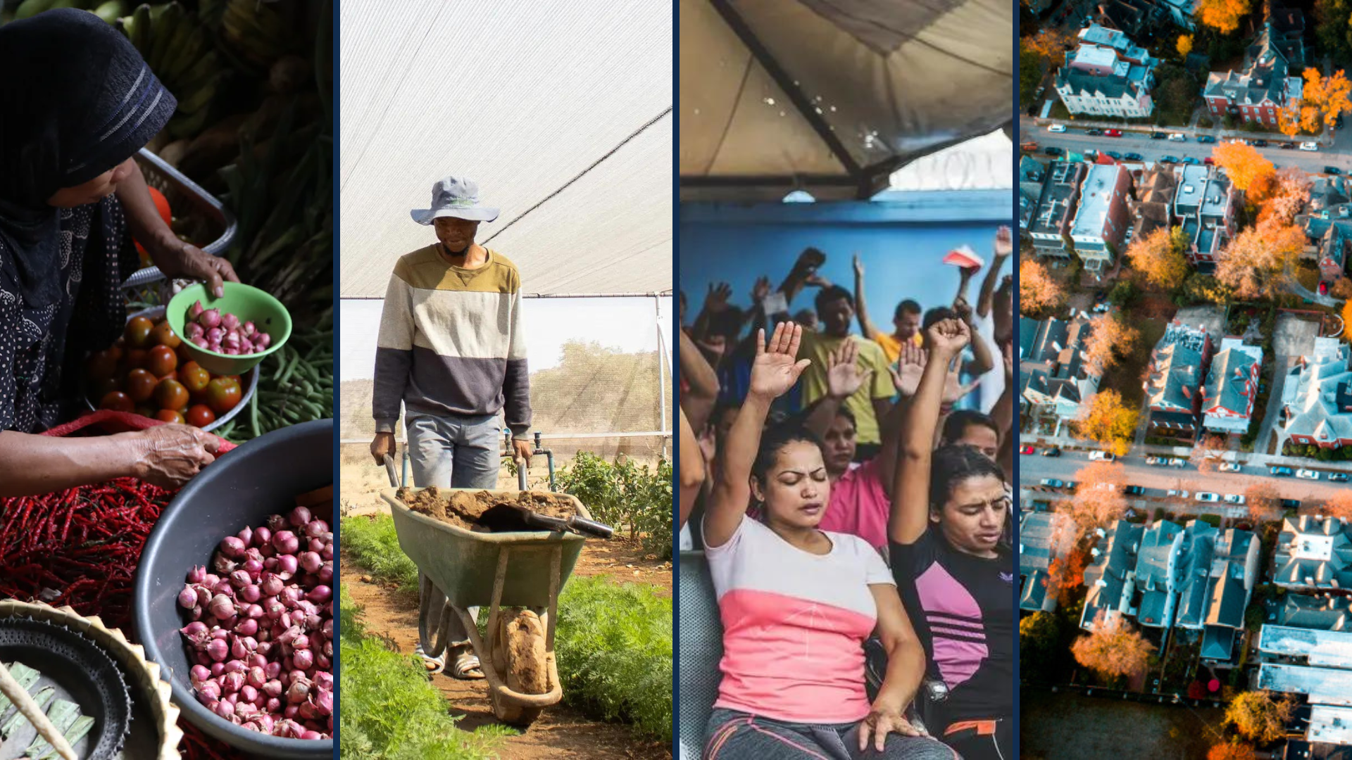 Decorative collage of four images.