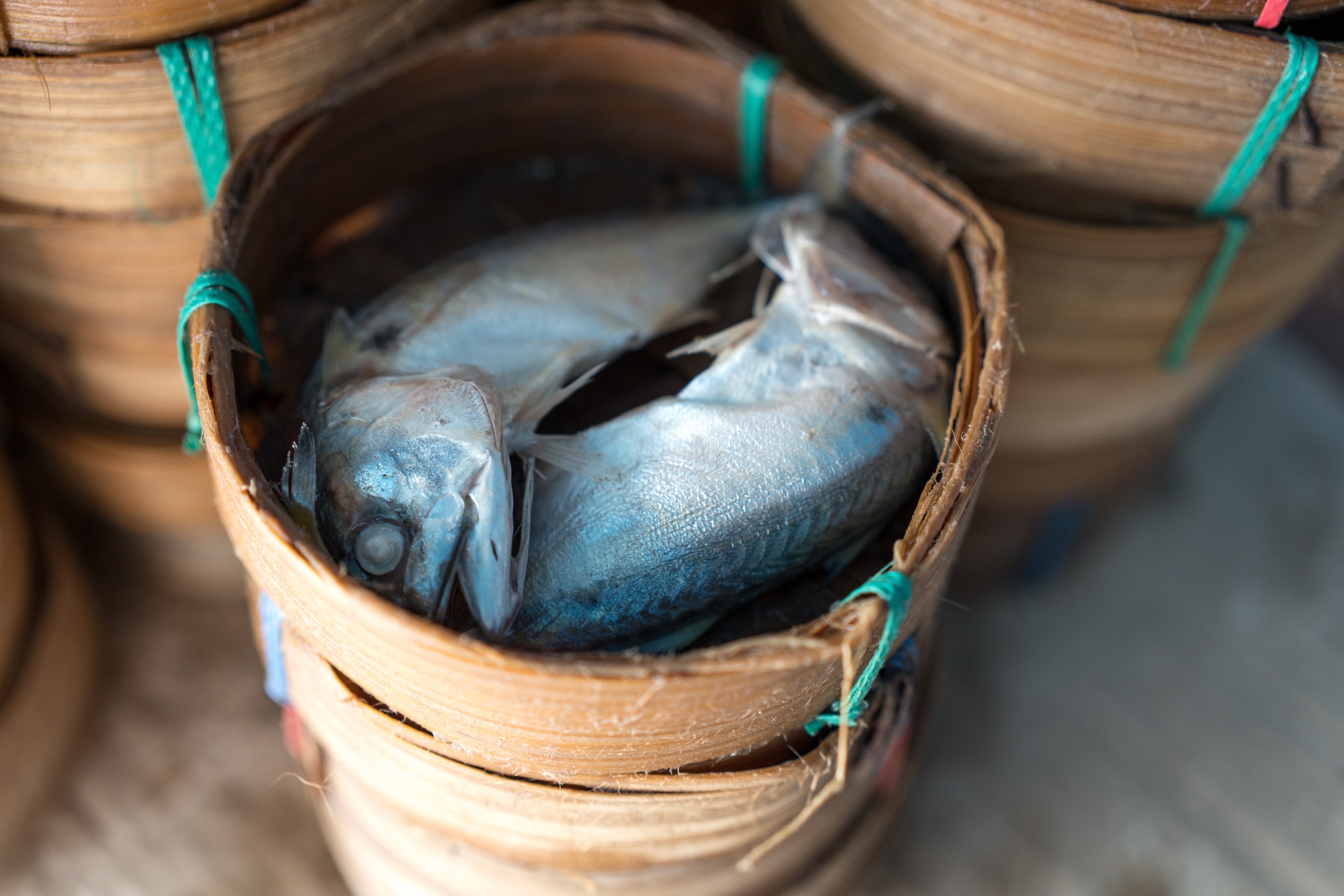 Is Thailand's Favorite Fish on Its Way Out? How Insatiable