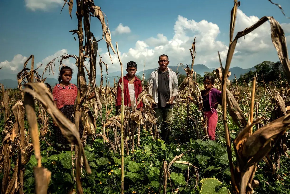 A group of indigenous farmers stand in their farm in Alta Verapaz, Guatemala.