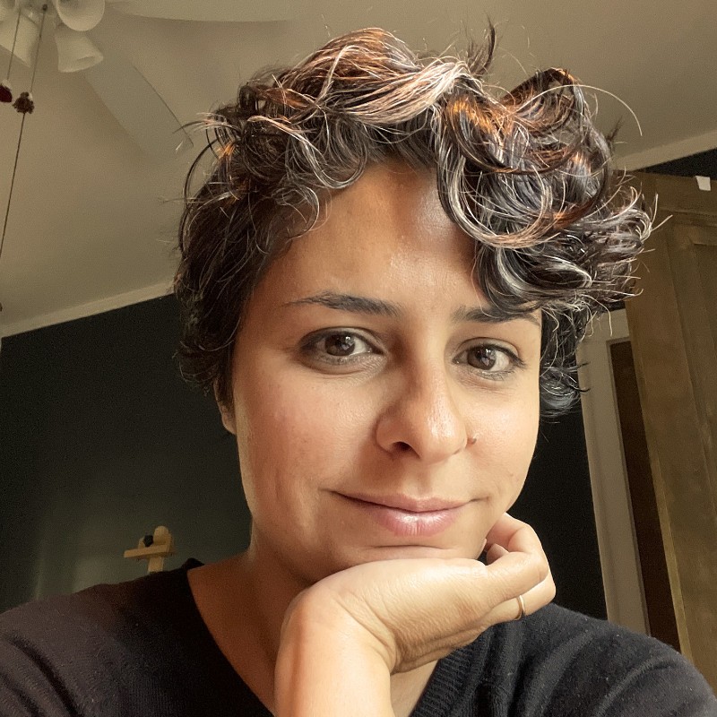 Naghmeh Farzaneh headshot