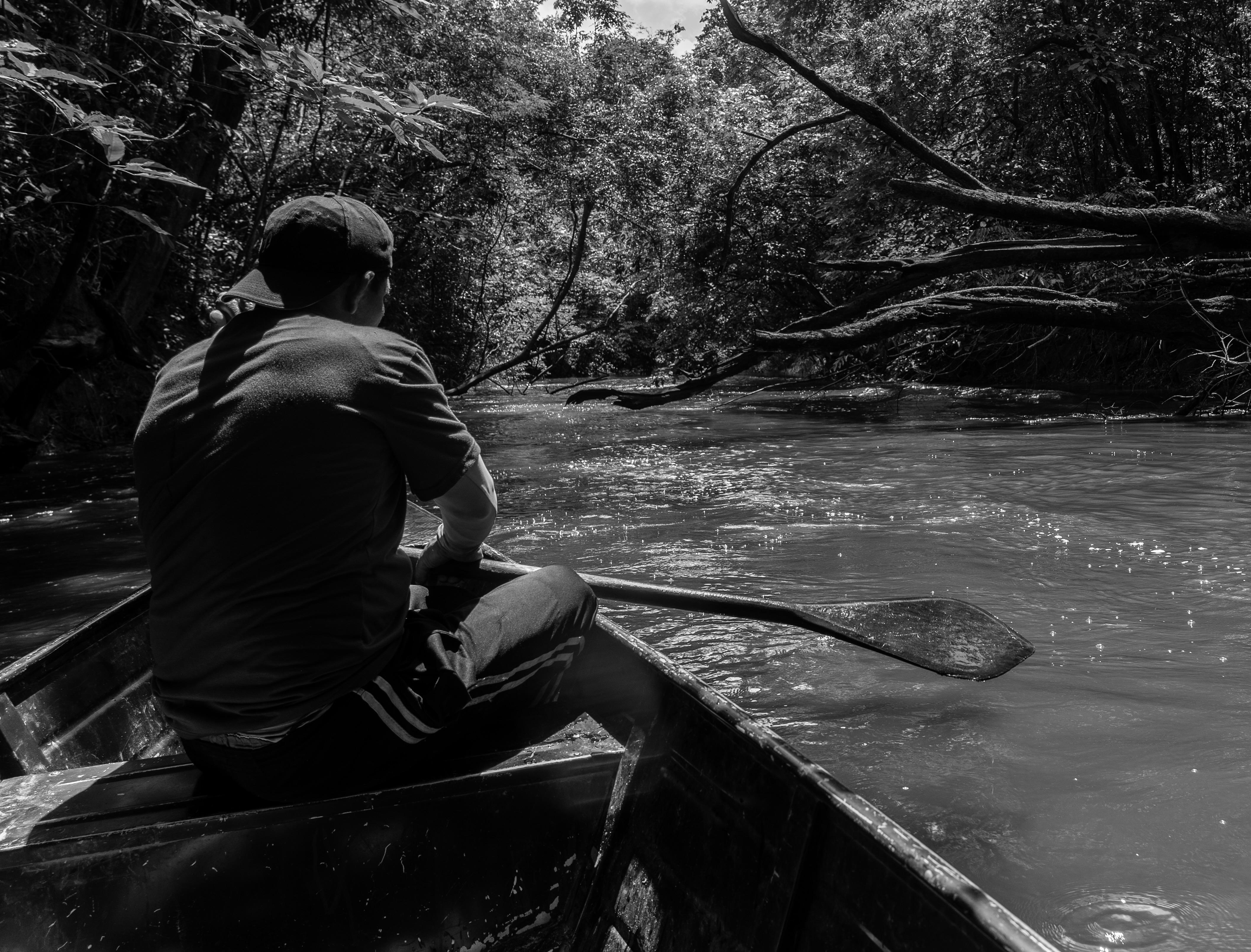 Indigenists Decipher Signs in the Forest To Protect Isolated Groups in ...