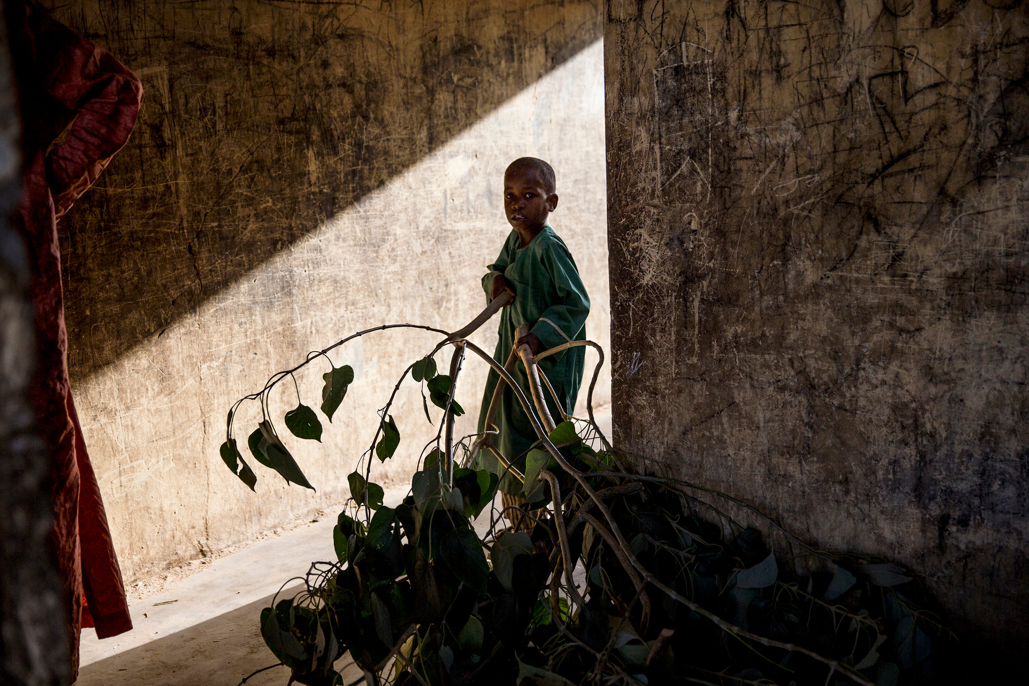 A boy carrying leaves to feed animals at an informal settlement for displaced people on the outskirts of Maiduguri, capital of Borno State in northern Nigeria. Image by Glenna Gordon. 2017. A boy carrying leaves to feed animals at an informal settlement for displaced people on the outskirts of Maiduguri, capital of Borno State in northern Nigeria. Image by Glenna Gordon. 2017.
