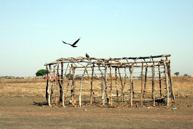 Tent frame in Abyei, Sudan, with a bird of prey, called a kite, launching from it. Tent frame in Abyei, Sudan, with a bird of prey, called a kite, launching from it.