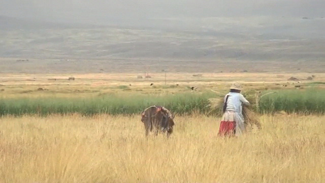 Cochabamba.jpg Media file: Cochabamba.jpg