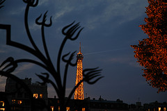 Heat Wave: Climate Change? Image by Dan Grossman. France, 2003.