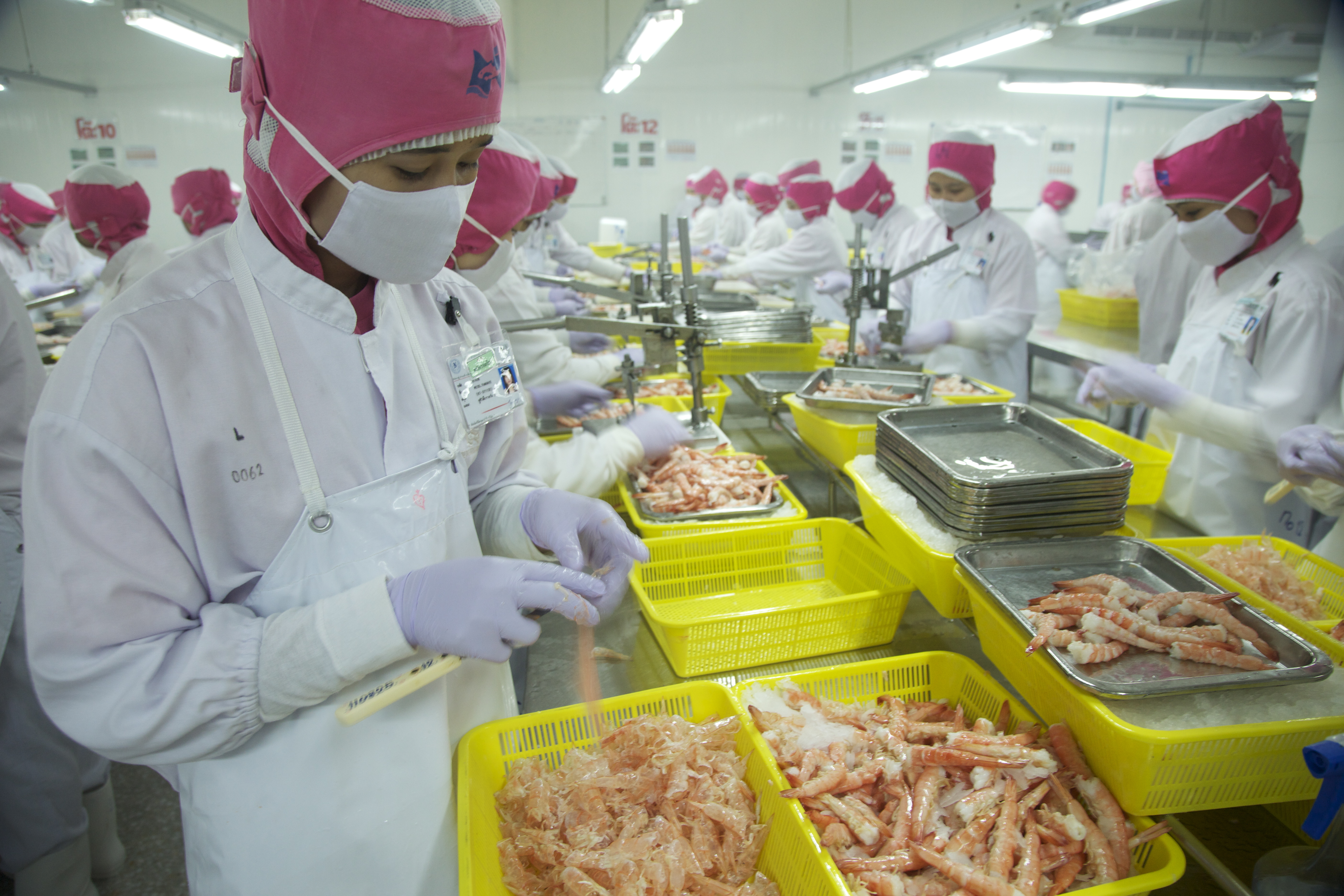 Migrant Workers Labor Overtime in Thai Shrimp Industry | Pulitzer Center