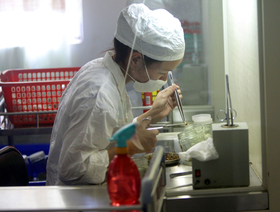 APP (Asia Pulp & Paper) lab technicians use surgical instruments to transplant tissue samples of Eucalyptus tree tissues into cultures in petri-dish like jars, which grow the seedling in climate controlled incubation areas at the Asia Pulp and Paper nursery center tissue culture laboratory in Dingan, Hainan located in the north east Hainan provence, a tropical part of China. The nursery is one of two APP nurseries in China where they select the tallest trees that yield the most pulp, clone them and plant the cloned seedlings. Those tallest of these trees jokingly are called “Yoa Mings.”
Image by Mike De Sisti. China, 2012. Media file: JournalSentinel_Video_China.jpg