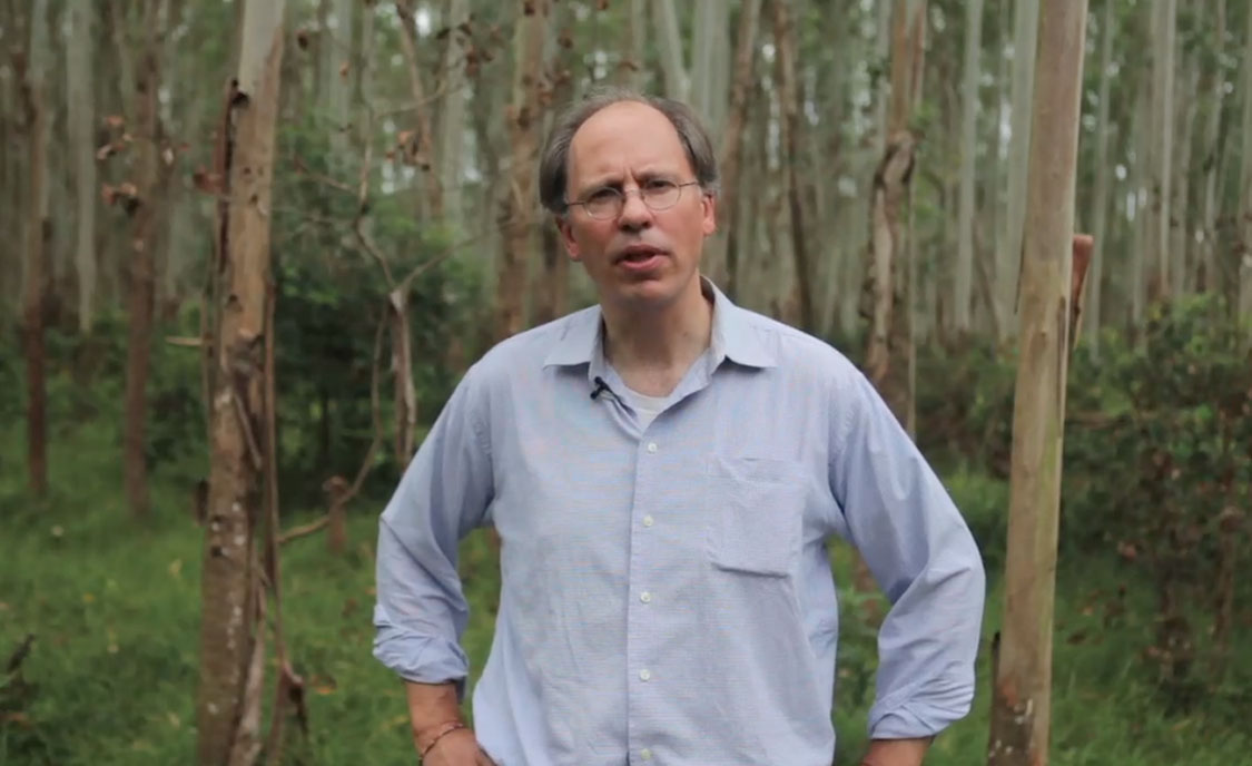 Journal Sentinel reporter John Schmid talks about the Paper Cuts project from a tree plantation in China. Image by Mike De Sisti. China, 2012. Media file: MJS_AboutPaperProject.jpg
