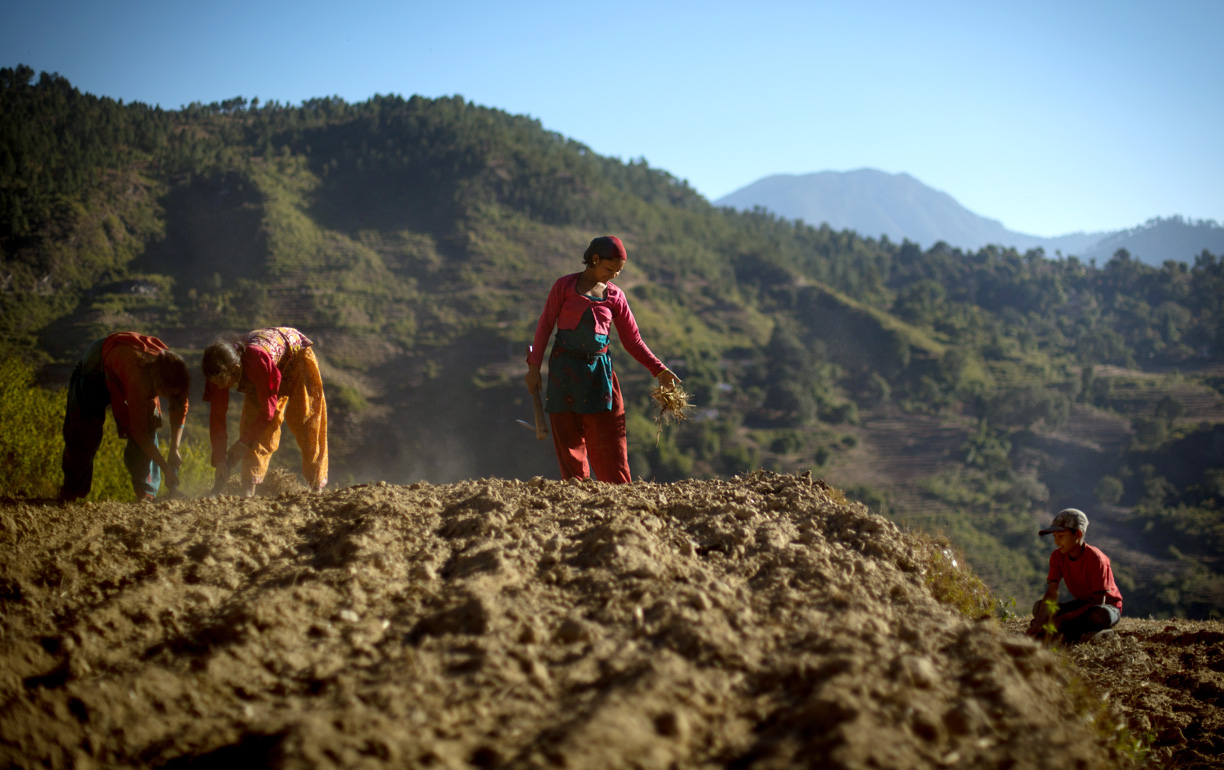 Young women work to prepare their family fields for planting wheat as a young male relative watches near Bayalpata, Achham in the Far West Region. Image by Allison Shelley. Nepal, 2012. Media file: MK3_9648_TONED.jpg