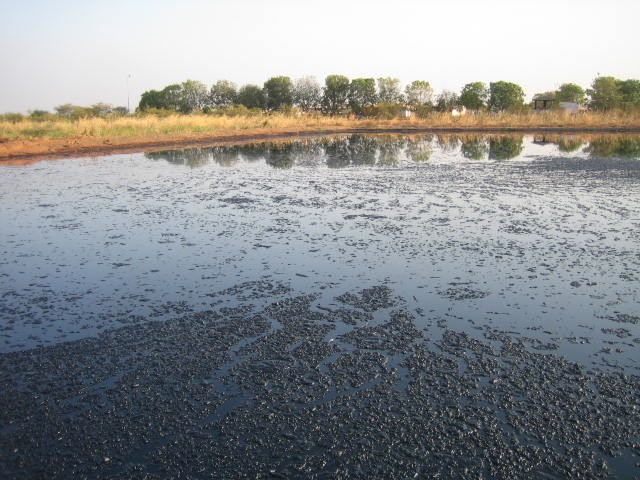 Image by Rebecca Hamilton, Sudan, 2011.