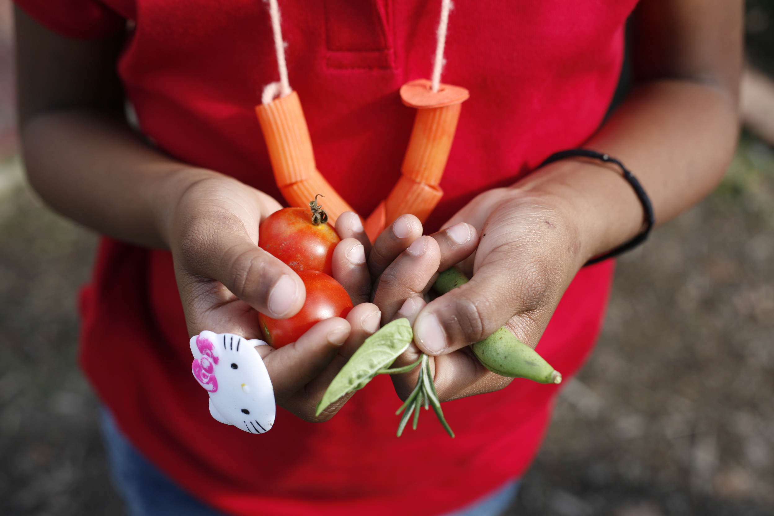 A girl holds a sample of the produce that comes out of Mattey’s Garden: tomatoes, basil, rosemary, and snap peas. Vega Brown, the cafeteria manager at Matthew Whaley, often uses the garden goods in the school lunches. Image by Rachel Wallace. United States, 2012.