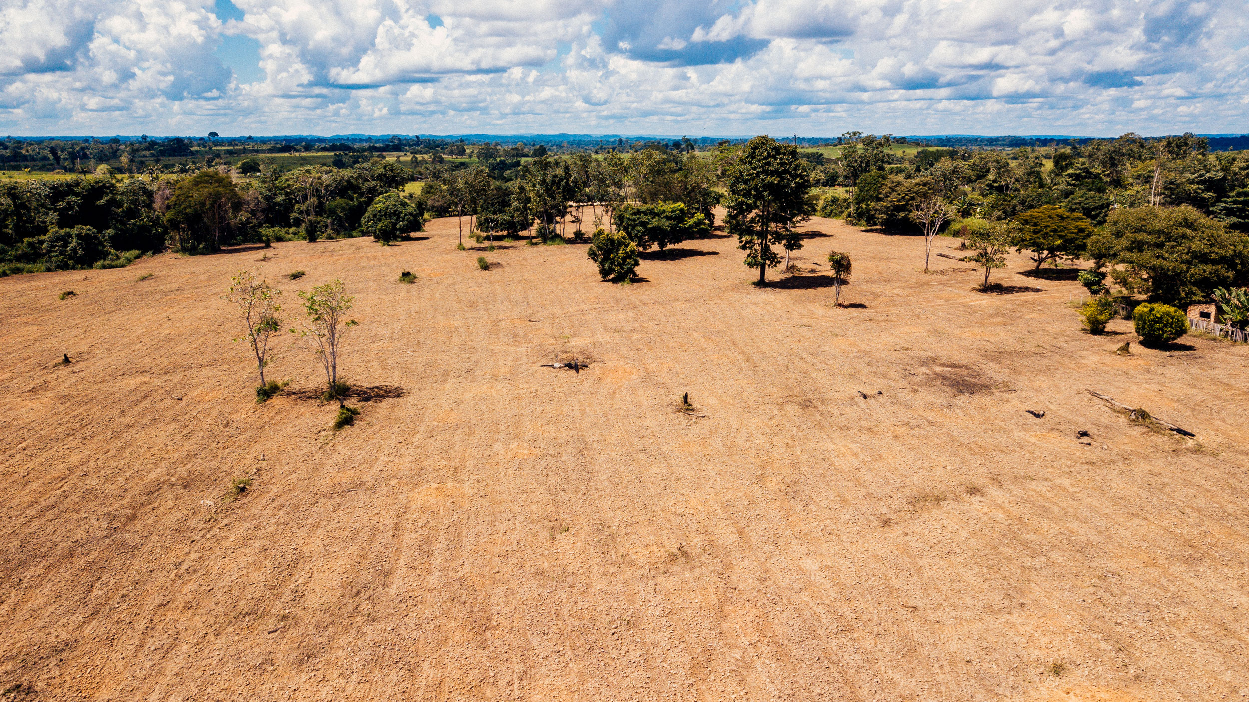 The Carbon Offset Market: Leveraging Forest Carbon’s Value in the Brazilian Amazon