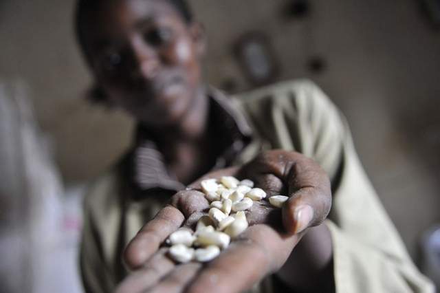 Agnes Mdunge, 19, a clerk at a store in Machakos, holds corn kernels. Image by Riccardo Gangale for the Des Moines Register. Kenya, 2010.