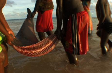 Image by Jennifer Redfearn, Carteret Islands, 2008. Image by Jennifer Redfearn, Carteret Islands, 2008.