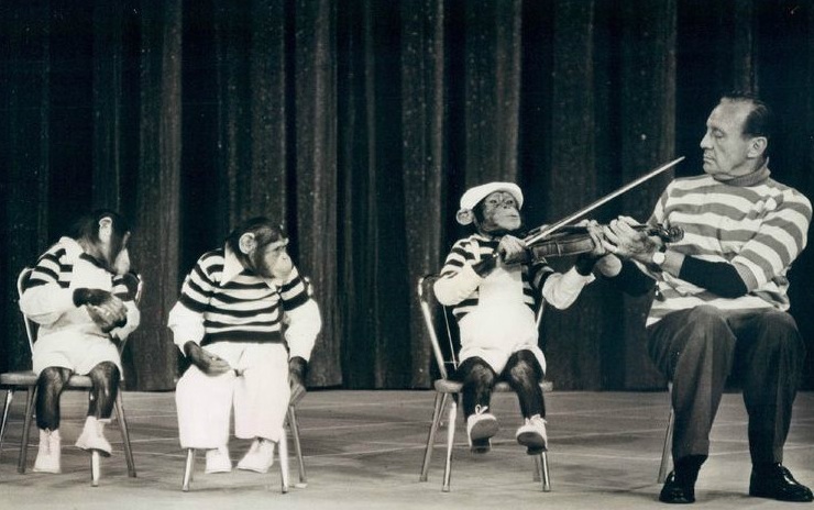 Jack Benny preforms with the Marquis Chimps. Image by CBS Television. United States, 1963. Media file: chimpanzees.entertainment.jack_.benny_.jpg