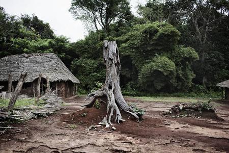 Abandoned homes on the outskirts of Ango, northeastern Congo. People have fled due to recent activity, abductions and killings by the Lord's Resistance Army. (Photo by Marcus Bleasdale) Abandoned homes on the outskirts of Ango, northeastern Congo. People have fled due to recent activity, abductions and killings by the Lord's Resistance Army. (Photo by Marcus Bleasdale)