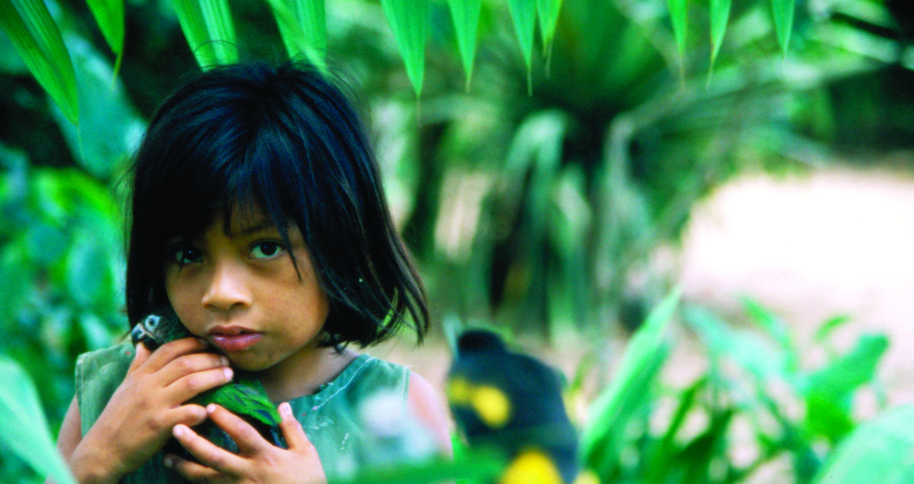 cropped.jpg Media file: cropped.jpg