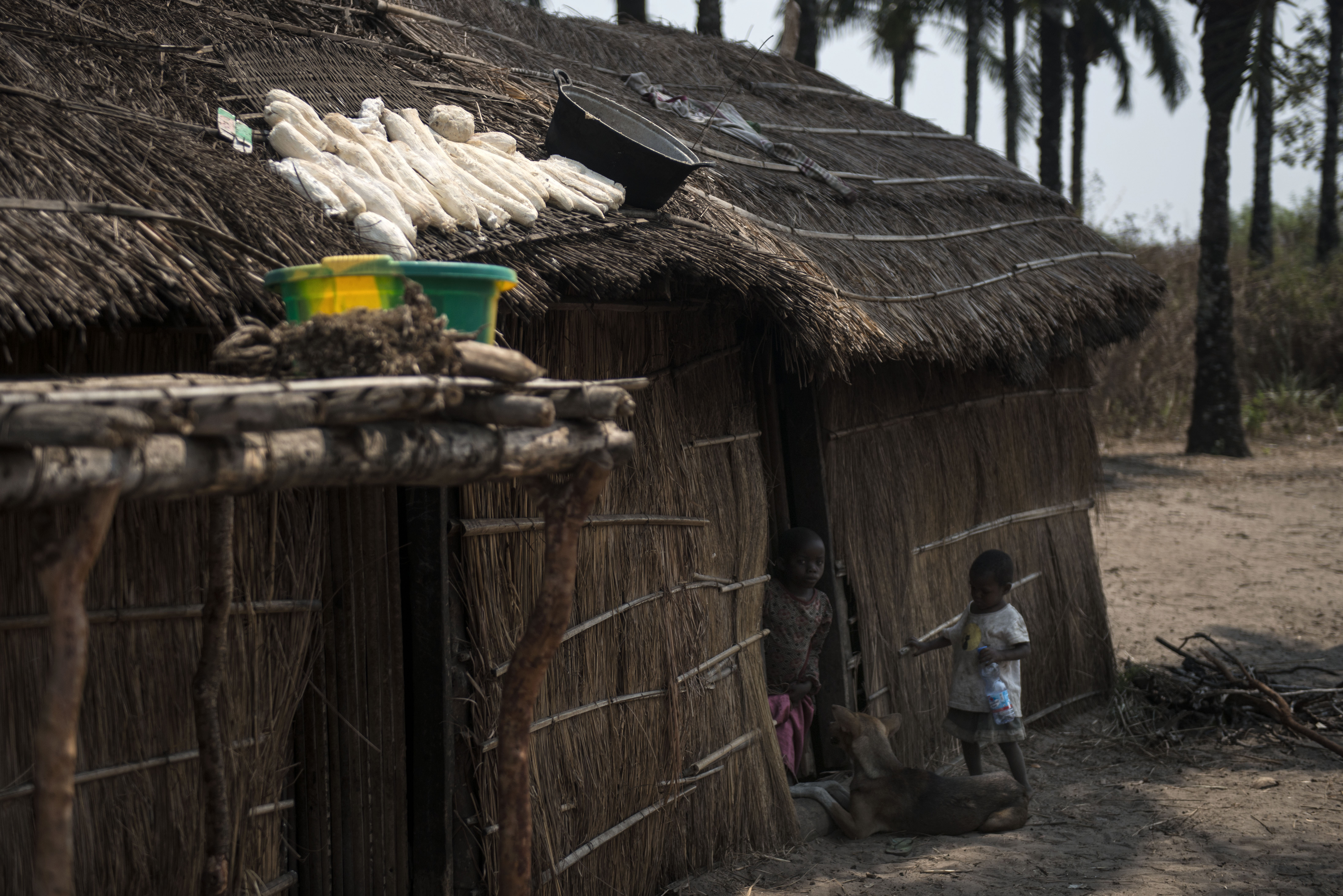 Image by Neil Brandvold. Democratic Republic of Congo, 2016. Image by Neil Brandvold. Democratic Republic of Congo, 2016.