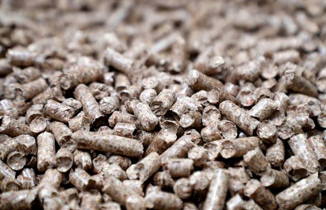 Wood pellets produced at the Enviva plant in Northampton County, N.C., seen on Tuesday, Sept. 3, 2019. Enviva is the world’s largest producer of wood pellets. Image by Ethan Hyman. United States, 2019. Wood pellets produced at the Enviva plant in Northampton County, N.C., seen on Tuesday, Sept. 3, 2019. Enviva is the world’s largest producer of wood pellets. Image by Ethan Hyman. United States, 2019.