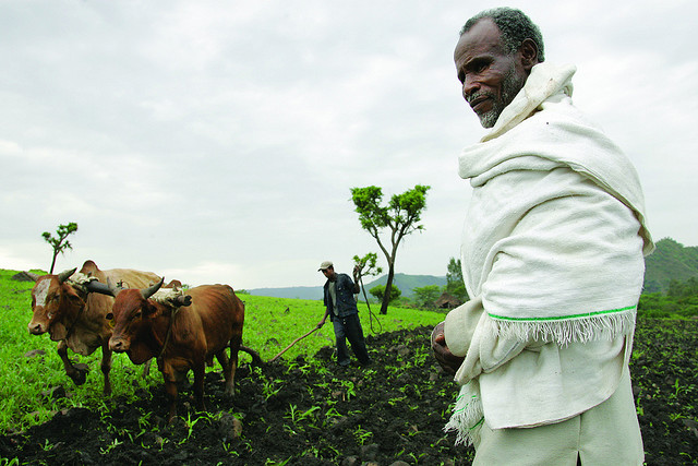 Ethiopia: A "Land Grab" Or a Path to Food Security 