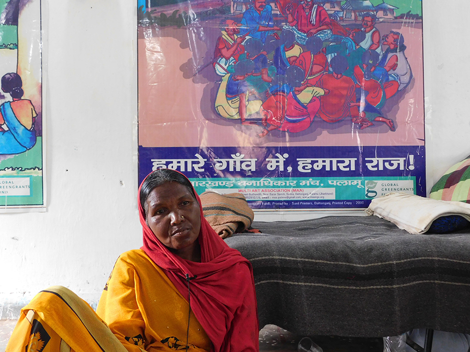 Climate Change: The Cost on India's Forests and Livelihoods | Pulitzer ...