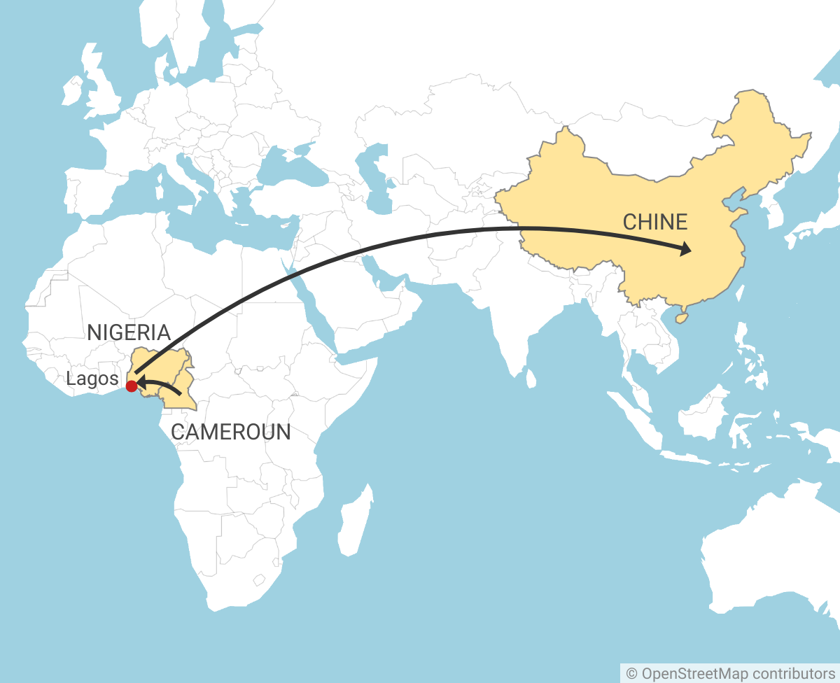 Arrows on a world map show how wood goes from Cameroon to Nigeria and from there to China.