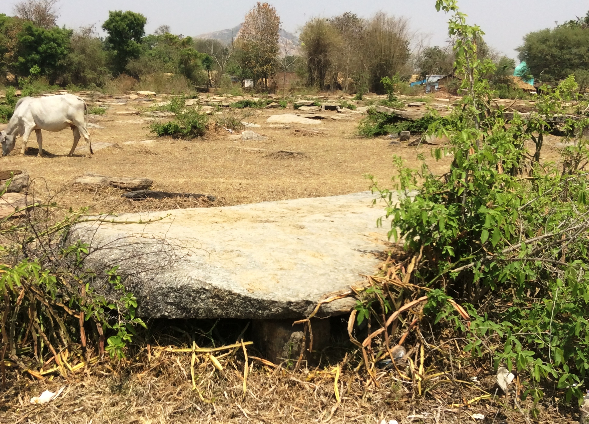 Rocks of Ages: Jharkhand’s millennia-old megalithic sites are under ...